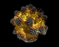 Mandelbulb1331